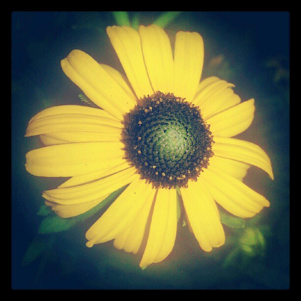 11189339 863784907012955 842973472 n