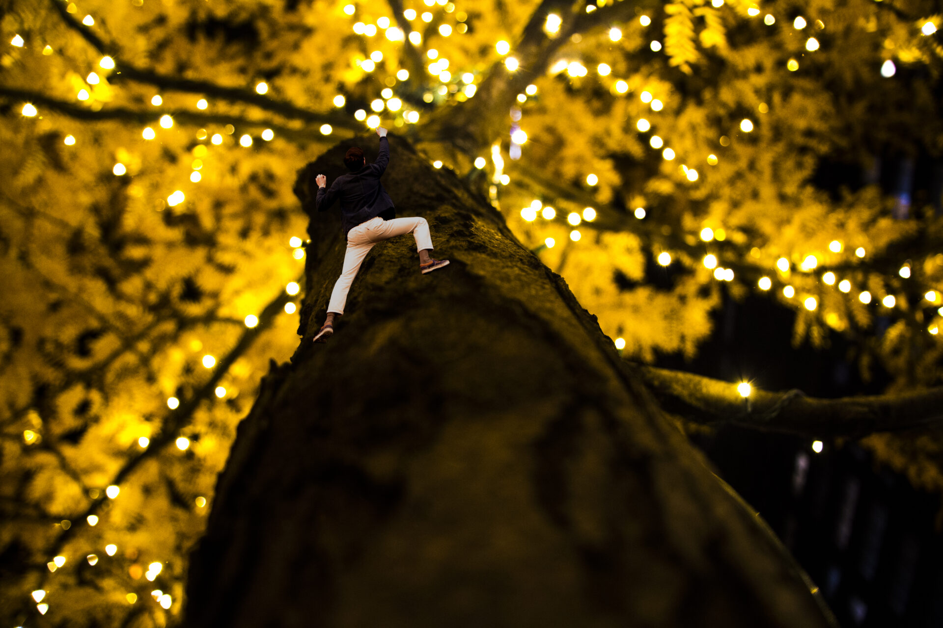 Composite photography Image